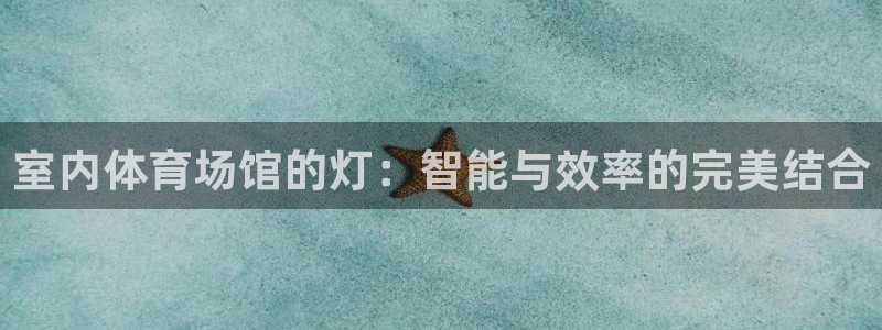 室内体育场馆的灯：智能与效率的完美结合