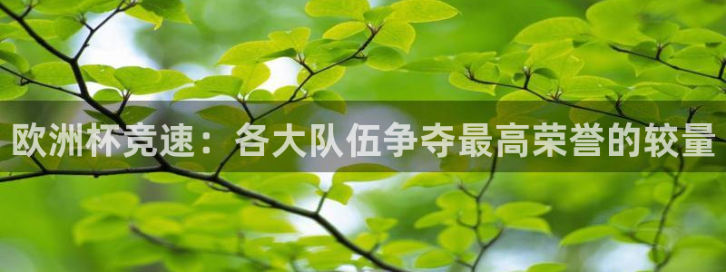 欧洲杯竞速：各大队伍争夺最高荣誉的较量